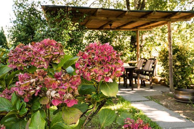 Agriturismo La Fagianaia Guest House บอร์โก อา บุจจาโน ภายนอก รูปภาพ