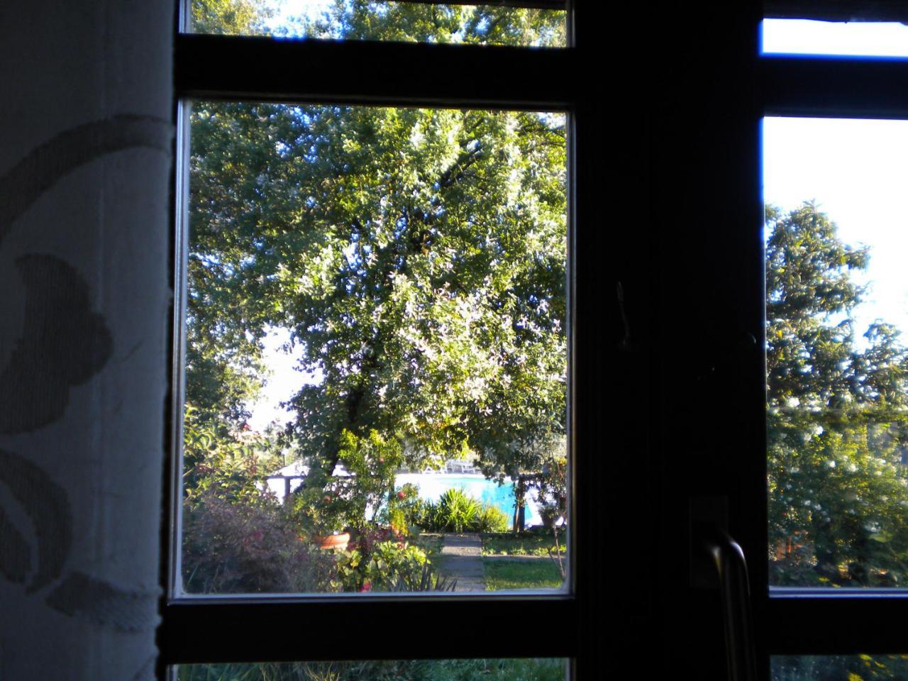 Agriturismo La Fagianaia Guest House บอร์โก อา บุจจาโน ภายนอก รูปภาพ